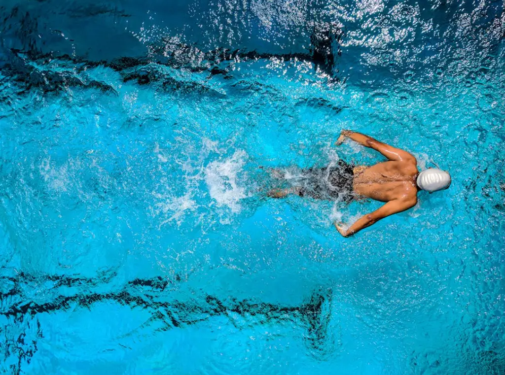 學游泳快速上手指南：從初學者到暢游高手